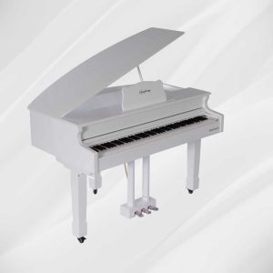 Symphony Grand Digital Piano 890